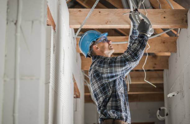 Best Electrician for Home Renovation  in Dripping Springs, TX